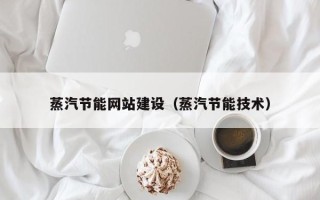 乌鲁木齐蒸汽节能网站建设（蒸汽节能技术）
